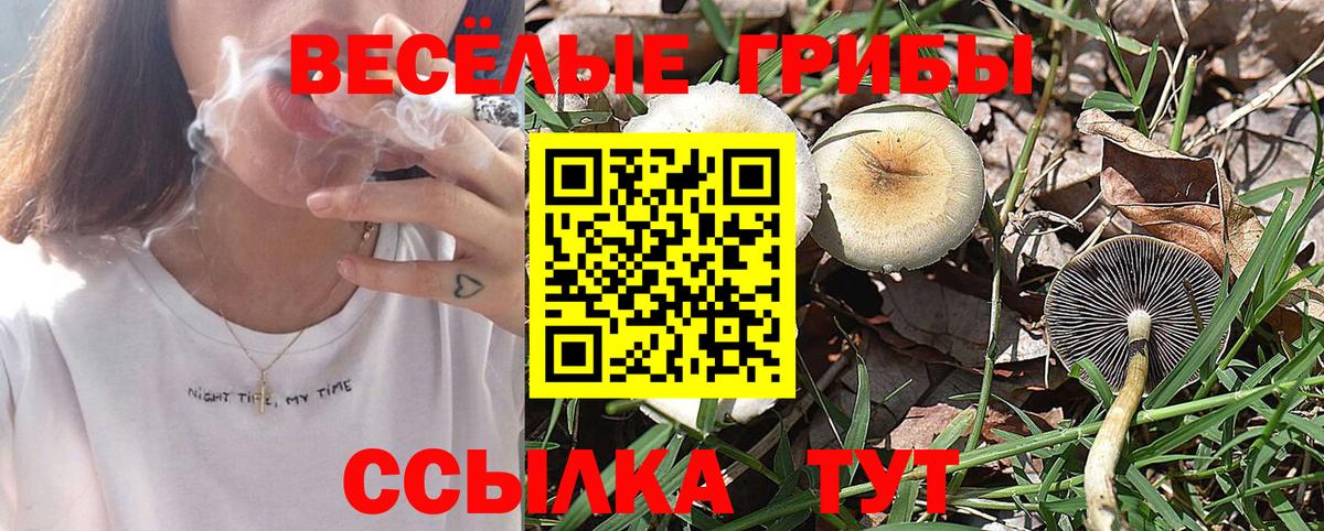 Галлюциногенные грибы прущие грибы Оренбург