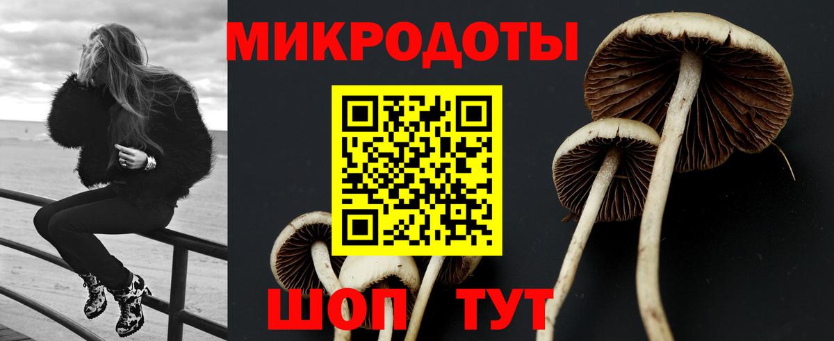 Псилоцибиновые грибы Magic Shrooms  Вход с VPN  Оренбург 